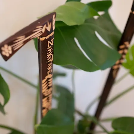 Rzut Beretem * Zakopane