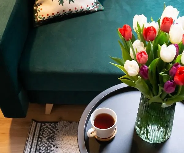 Rzut Beretem Zakopane