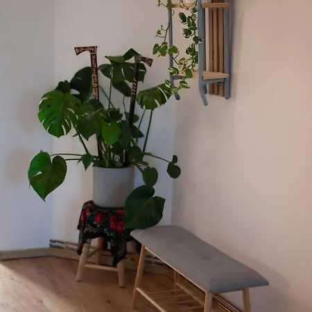 Rzut Beretem * Ζακοπάνε