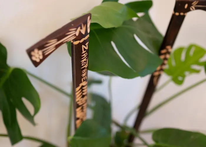 Rzut Beretem * זקופאנה